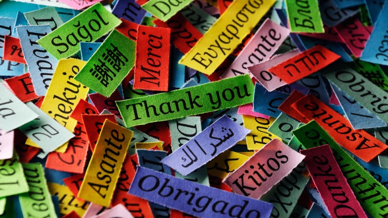 Carreira profissional